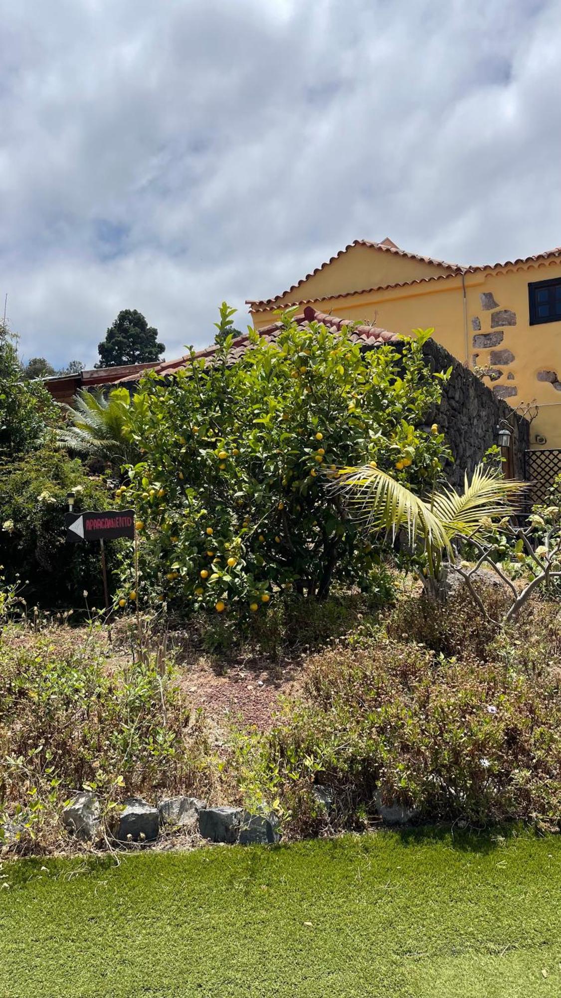 Casonas De Marengo Icod De Los Vinos Exterior foto